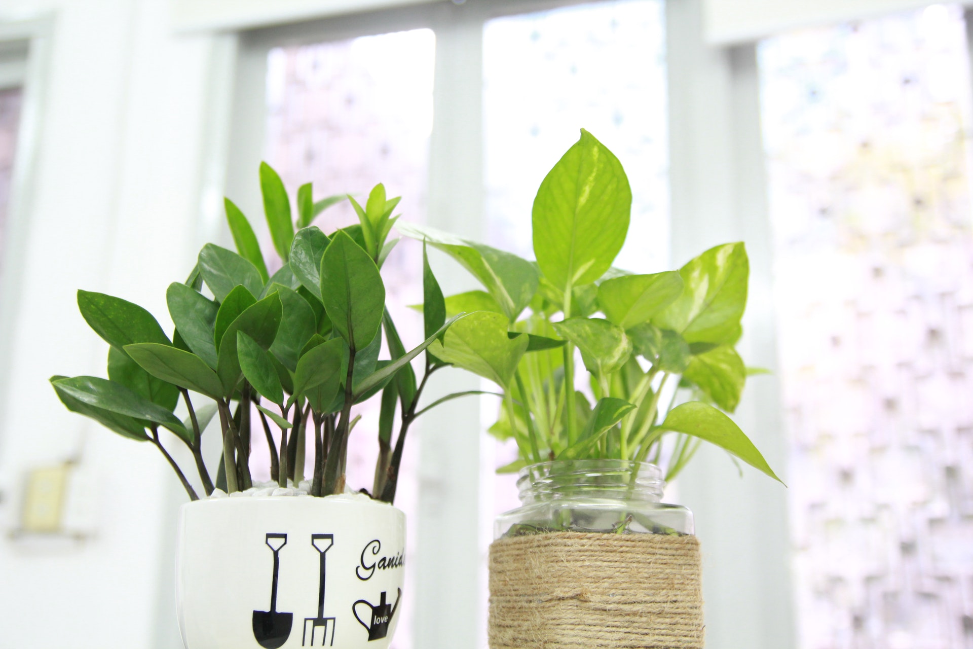 potten in plant potten in plant