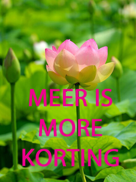 Meer is more Korting!